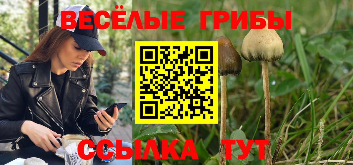 Псилоцибиновые грибы Magic Shrooms Электросталь