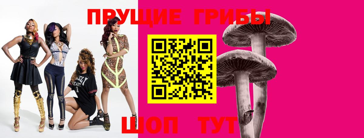 цена наркотик  Вход с VPN  Электросталь  Псилоцибиновые грибы Psilocybine cubensis 